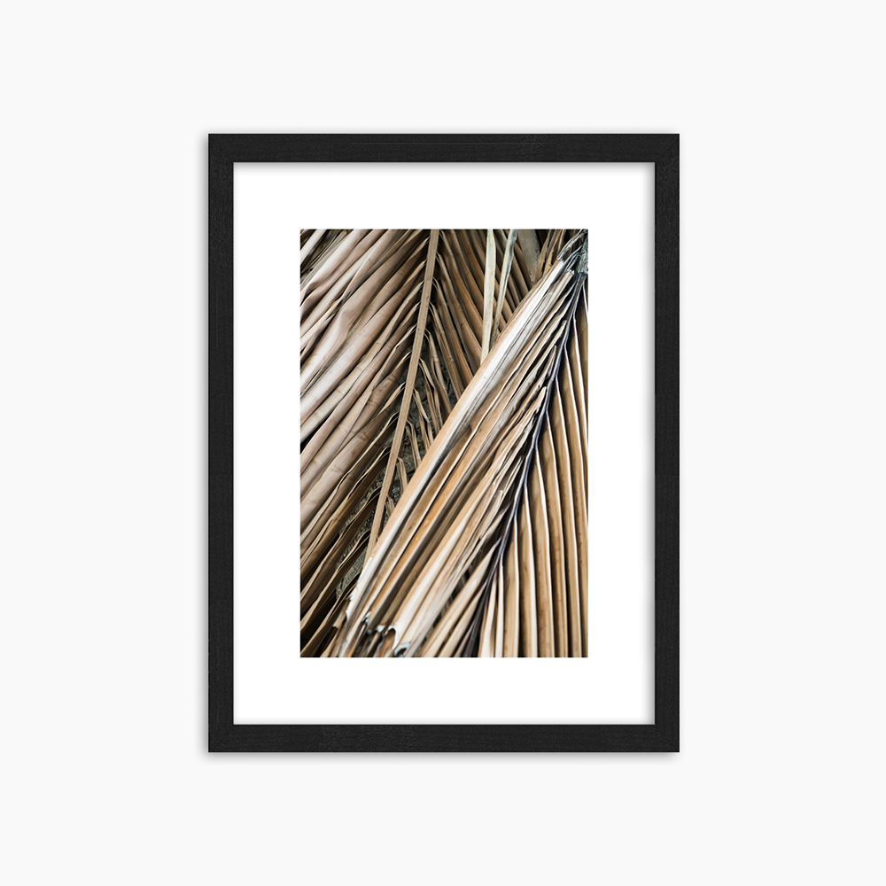 Dried Palm Fronds
