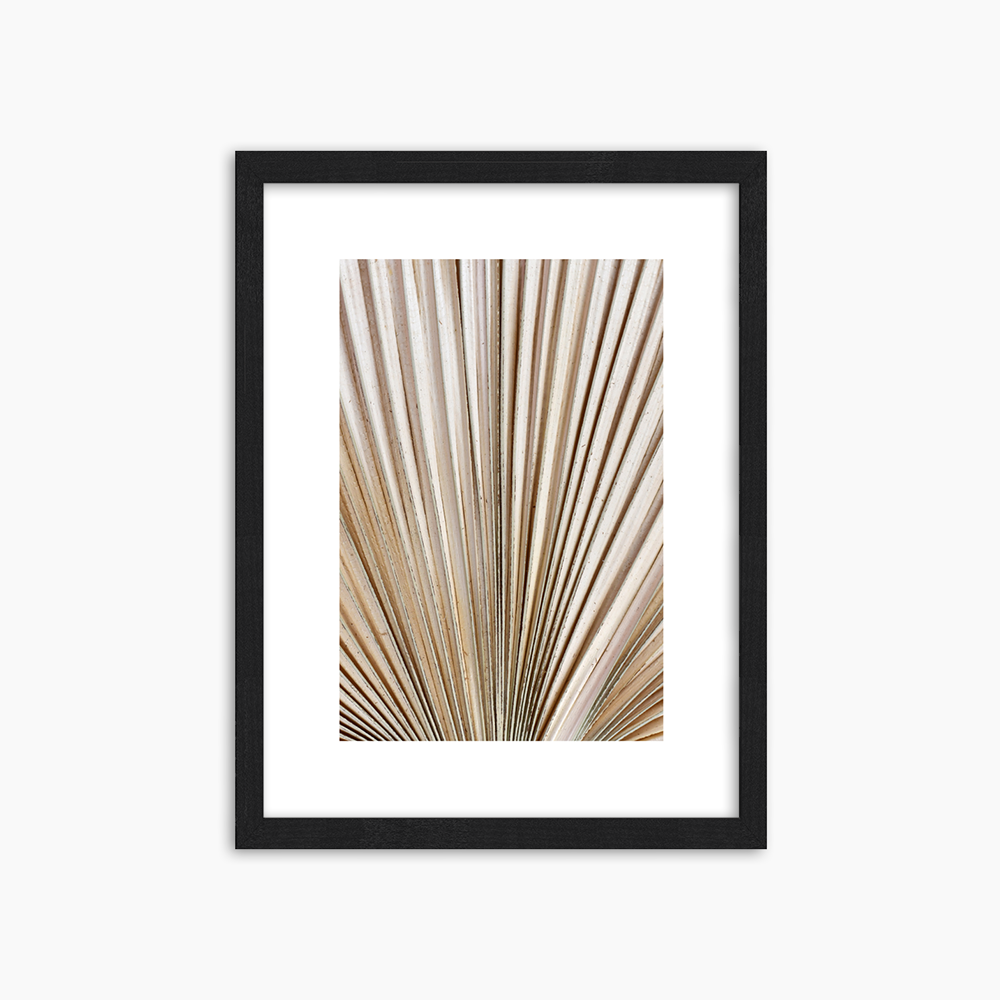 Dried Palm Frond